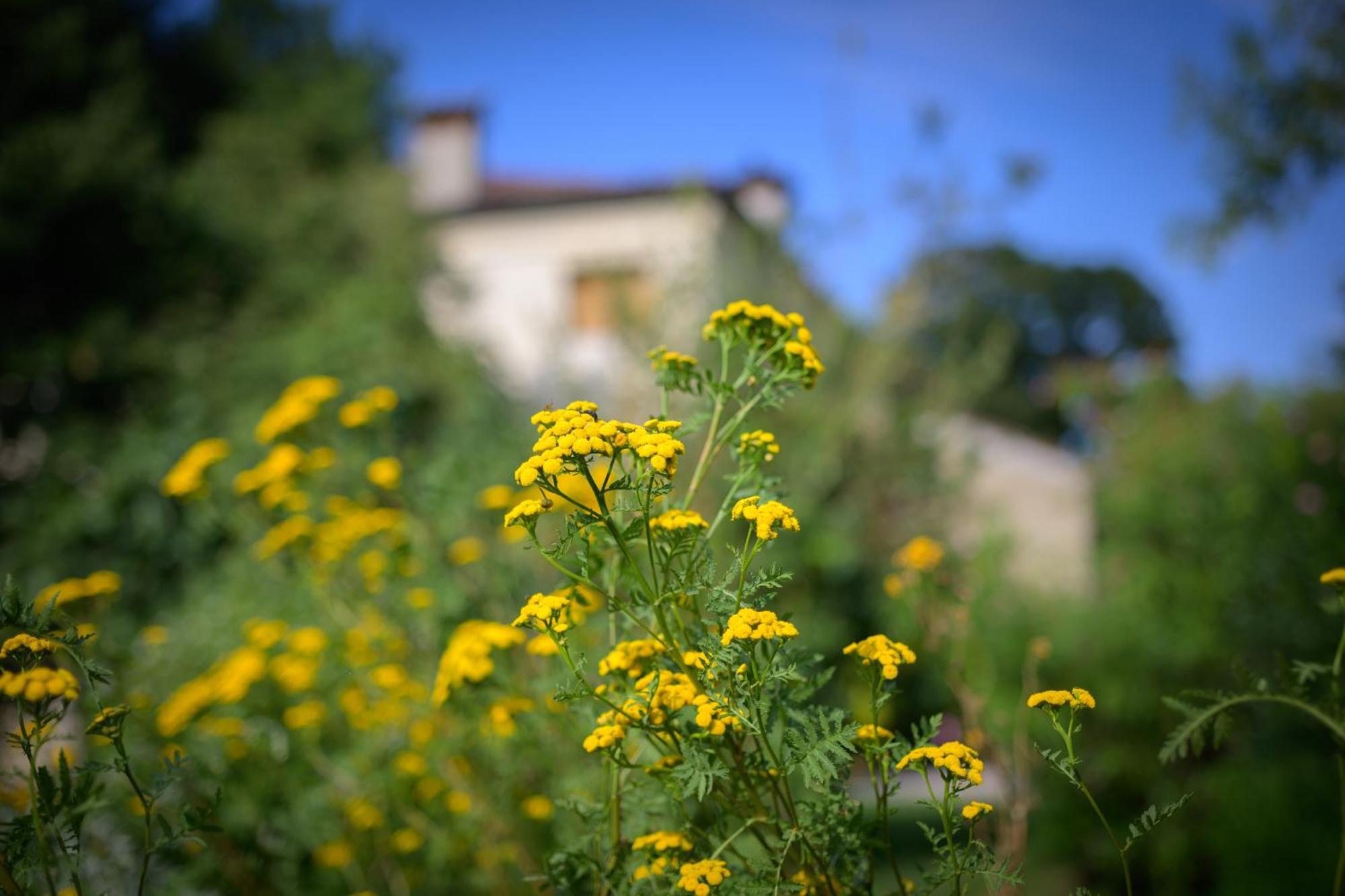 Palazzetto Ardi Bed & Breakfast Torri di Confine Dış mekan fotoğraf